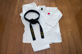 Folding the Karategi