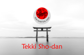 Tekki Sho-dan