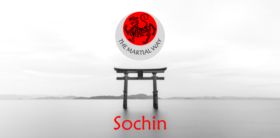 Sochin