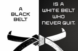 Karate Belt Colours
