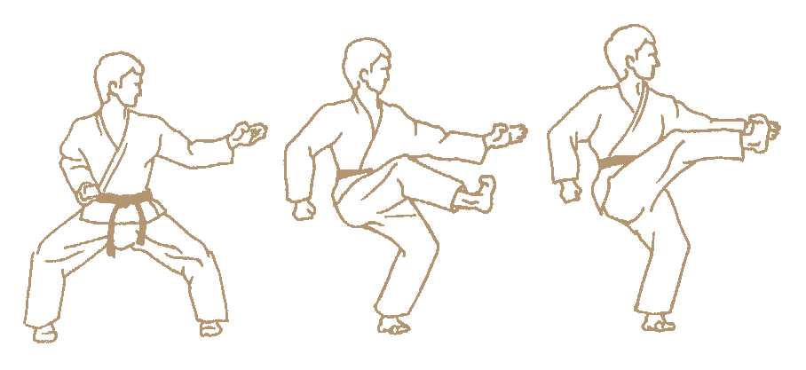 4 Karate Kick Categories