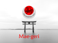 Mae-geri (Front Kick)