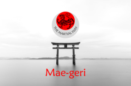Mae-geri (Front Kick)