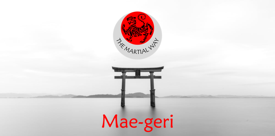 Mae-geri (Front Kick)