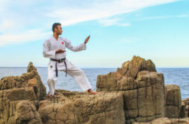 Kokutsu-dachi (back stance)