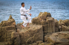 Nekoashi-dachi (Cat stance)