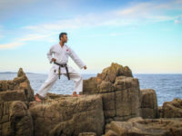 Karate Stances