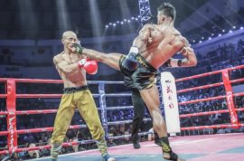 Different Types Of Teeps In Muay Thai