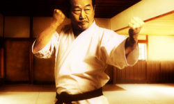 The Nakayama Legacy PII