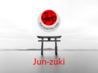Jun-zuki (Lunge Punch)