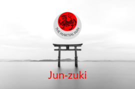 Jun-zuki (Lunge Punch)