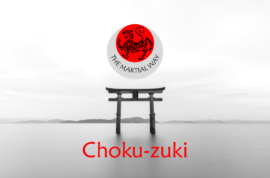 Choku-zuki (Straight Punch)