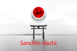 Sanchin-dachi (Hourglass stance)