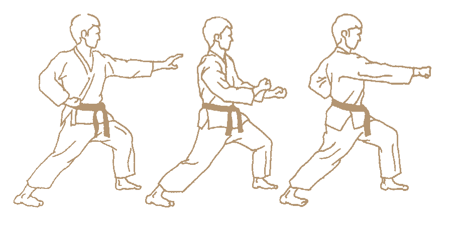 Kết quả hình ảnh cho reverse punch karate