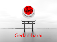 Gedan-barai (Lower Block)