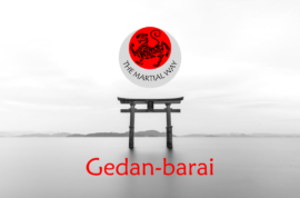 Gedan-barai (Lower Block)