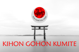 Kihon Gohon Kumite (5 Step Sparring)