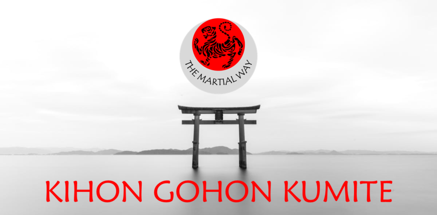 Kihon Gohon Kumite (5 Step Sparring)