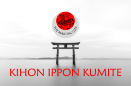 Kihon Ippon Kumite