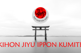 Kihon Jiyu Ippon Kumite