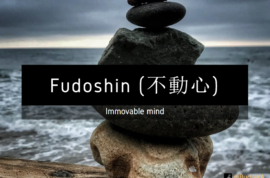 Fudoshin