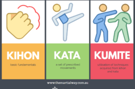 Kata, Kihon and Kumite in Shotokan Karate